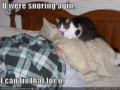 cattails-snoring_agin.jpg