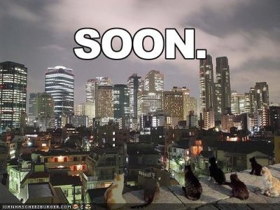 funny-pictures-soon-cats-city-skyline.jpg
