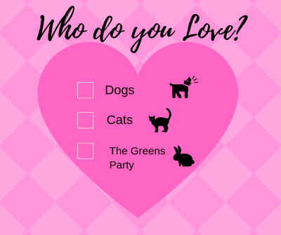 WhoDo you love.png