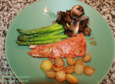 Salmon Dinner_2019-02_Paul's dinner with potatoes.jpg