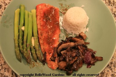 Salmon Dinner_2019-02_Judy's dinner with rice.jpg