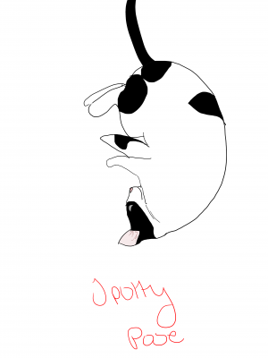 Spotty pose FOR CENTO.png