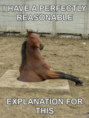 horseinaholehasareasonableexplanation.jpg