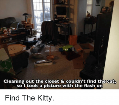 cleaning-out-the-closet-couldnt-find-the-cat-so-33456327.png