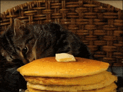 pancake1.gif