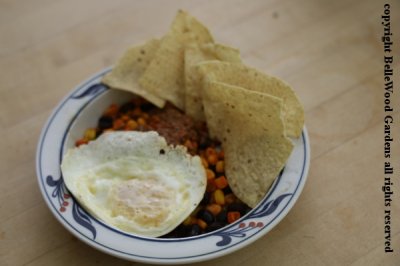 Food_2019-07_lunch with chili, beans & corn, flipped egg.jpg