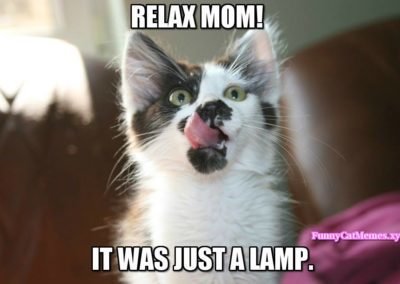 Just-a-lamp-Funny-Cat-Memes-400x284.jpg