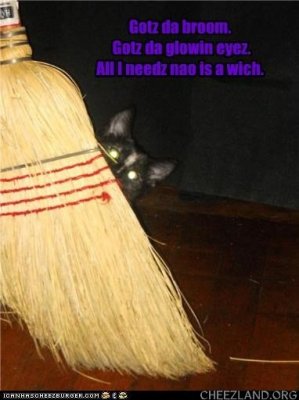 Witch Cat 7.jpeg