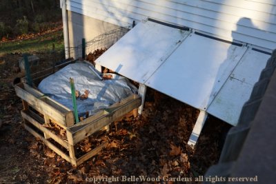 Winterizing Bananas_2019-11_overview of banana cover extension.jpg