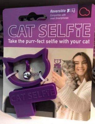 purrfect cat selfie.jpg
