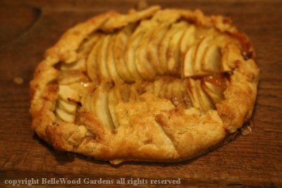 Baking_2019-11_apple galette.jpg