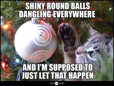 christmas-kitty.jpg