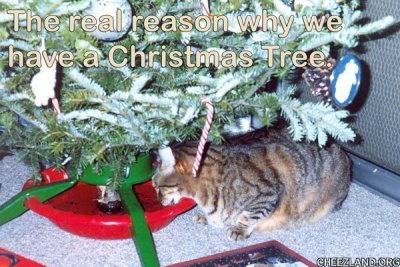 lunarmommy-tiger-why_we_have_a_christmas_tre.jpg