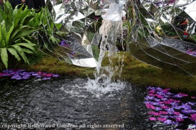 NYBG Orchid Show_2020-02_mirrored fountains, waterfall, pool with orchids.jpg