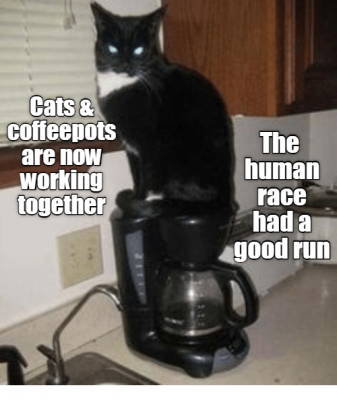 cats-cofteepots-are-now-working-together-the-human-race-37233730.png