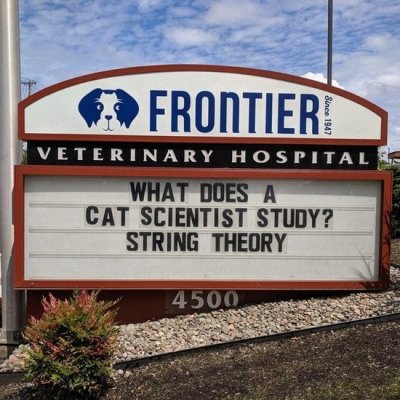 Vet-signs-cats-study-string-theory.jpg