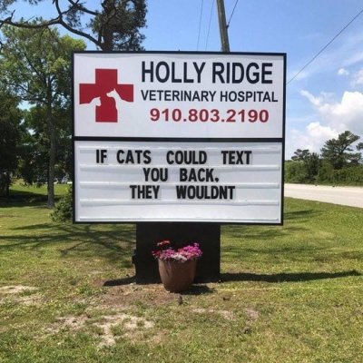 Vet-signs-if-cats-could-text.jpg