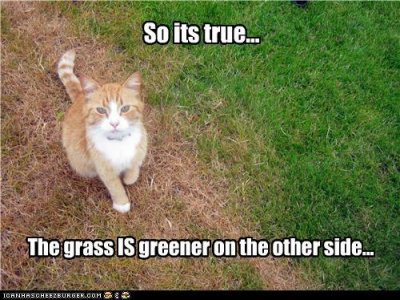 adage-caption-captioned-cat-grass-greener-other-side-true-truth-4934881280.jpg