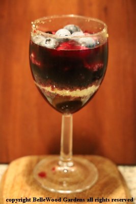 Cooking with Blueberries_2020-07_individual blueberry trifle.jpg