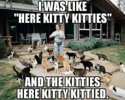 iwas-like-here-kitty-kitties-and-the-kitties-here-kitty-60448277.png