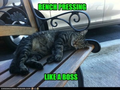 bench-pressing.jpeg