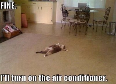 floor-fine-ill-turn-on-the-air-conditioner.jpeg