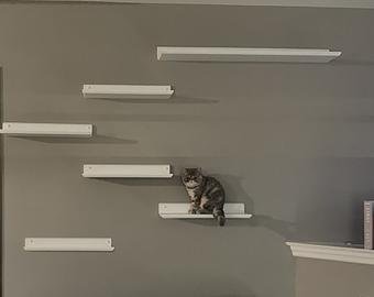 Cat wall shelving.jpg