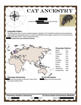 Cat Ancestry Result.jpg