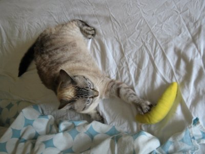 banana6.JPG