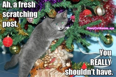 Cat-Christmas-Tree-Meme-Funny-Cat-memes.jpg