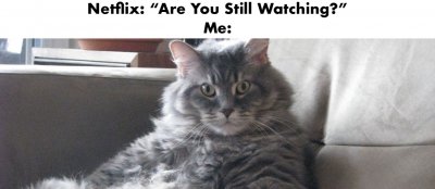 Cat Netflix Chill meme 2.jpg