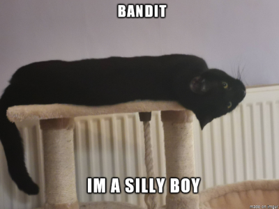 bandit 3.png