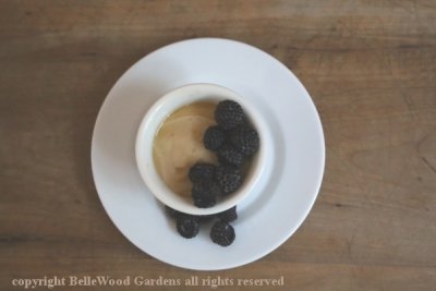 Dinner_2021-06_butterscotch pudding with black raspberries.jpg