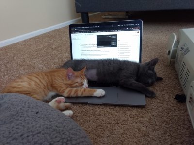 o&w and grey lying on computer accessibility.jpeg
