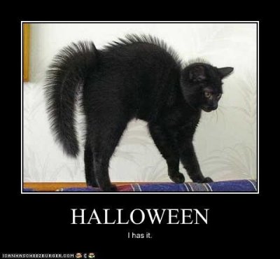 a-cats-natural-halloween-costume.jpeg
