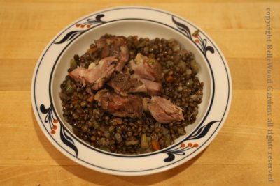 Duck with lentils_2021-11_plated up.jpg