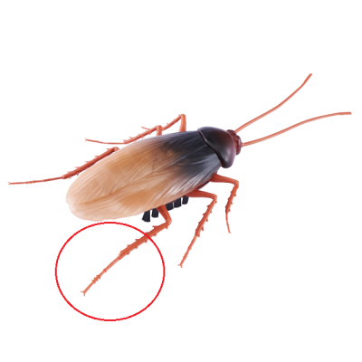 RoachToy.png