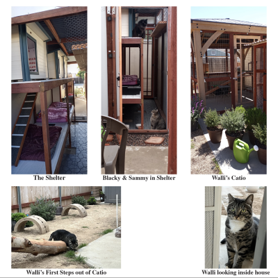 Shelters & Walli_Orig.png