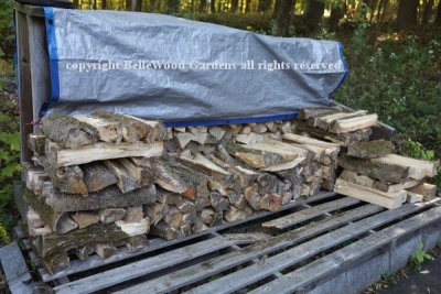 Firewood_2022-10_restacked wood pile.jpg