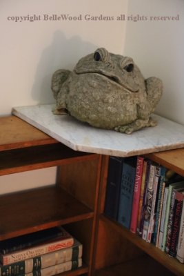 Misc_2022-10_toad statue.jpg