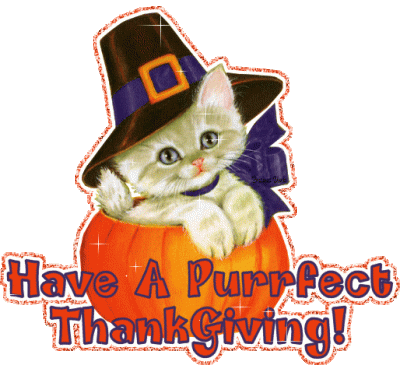 feline-clipart-happy-thanksgiving-10.gif