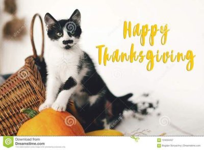 happy-thanksgiving-text-seasons-greeting-card-sign-cute-kitty-pumpkin-wicker-basket-wooden-bac...jpg