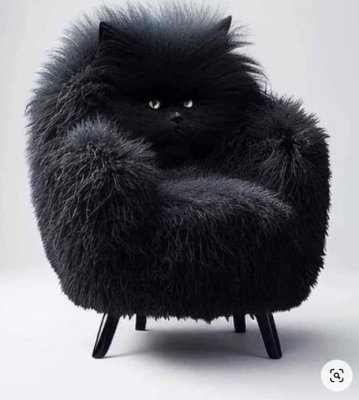 Cat Chair.jpg