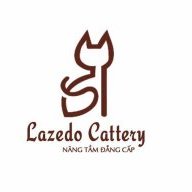 LazedoCattery