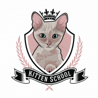 Kitten School