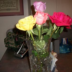Roses from the doctor's office