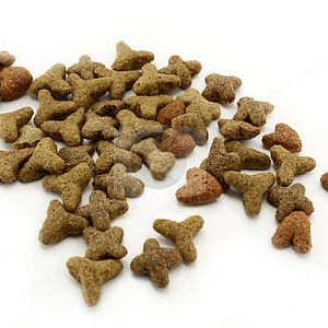 Kitten dry food with large kibbles?