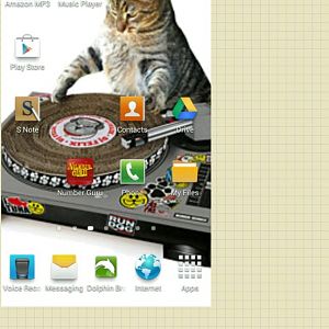 Launching a Mobile Version for TheCatSite.com
