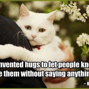 Have you been hugged today?
