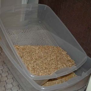 Anyone tried wood pellets in the Tidy Cat Breeze box?